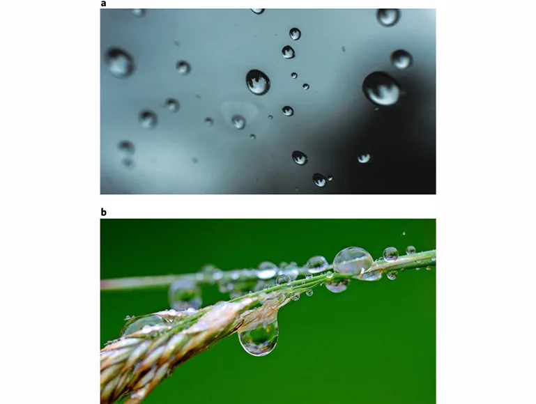 HYDROPHOBIC DISPERSANTS